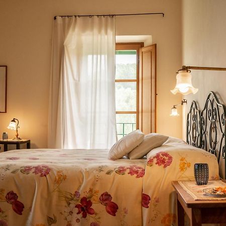 Agriturismo Casa Montecucco Giuncarico 外观 照片