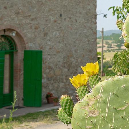 Agriturismo Casa Montecucco Giuncarico 外观 照片