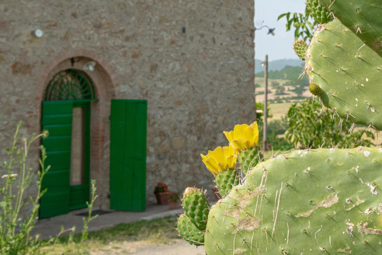 Agriturismo Casa Montecucco Giuncarico 外观 照片
